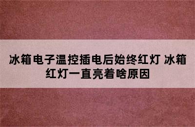 冰箱电子温控插电后始终红灯 冰箱红灯一直亮着啥原因